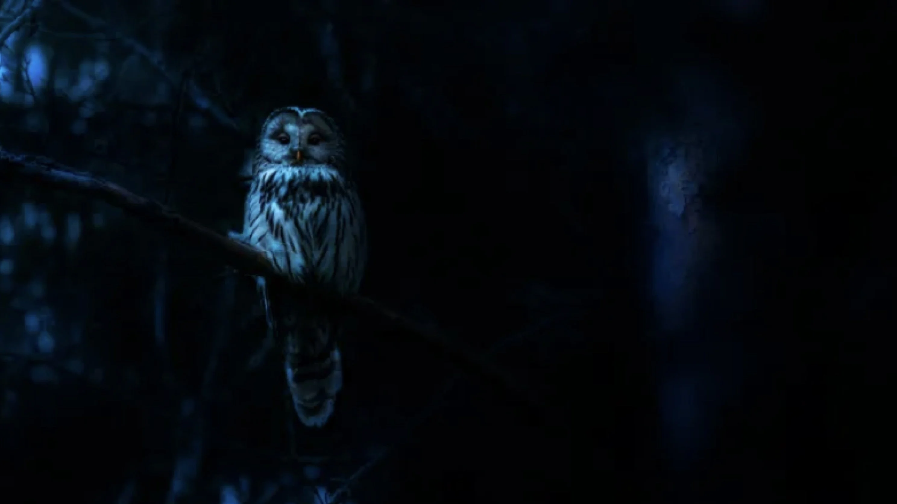 Ác Mộng Của Thiên Nhiên - Nightmares Of Nature (Season 1)