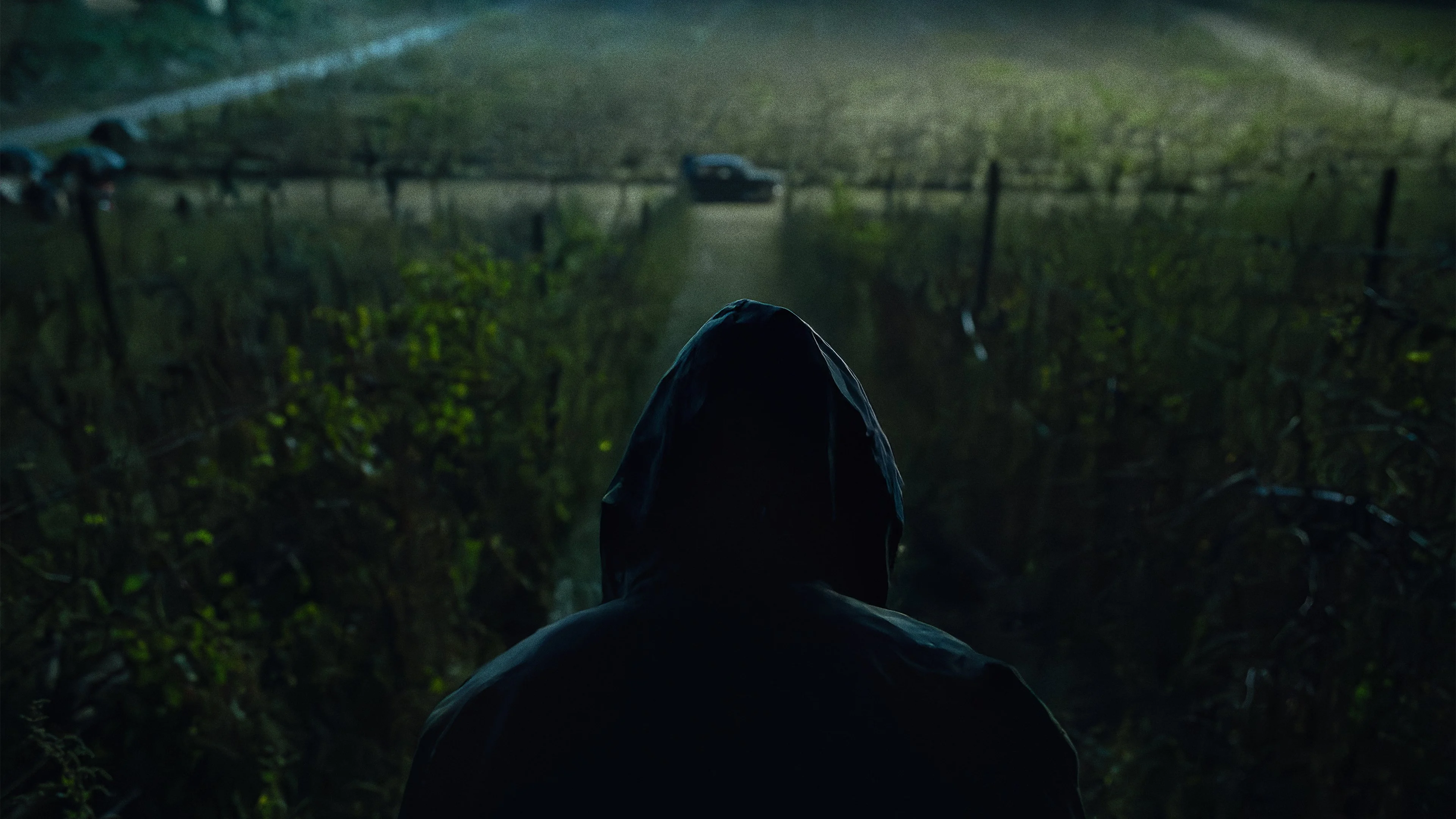 Quái Vật Thành Florence - The Monster Of Florence