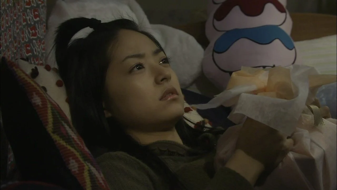 Vườn Sao Băng: Hồi Kết - Hana Yori Dango: Final