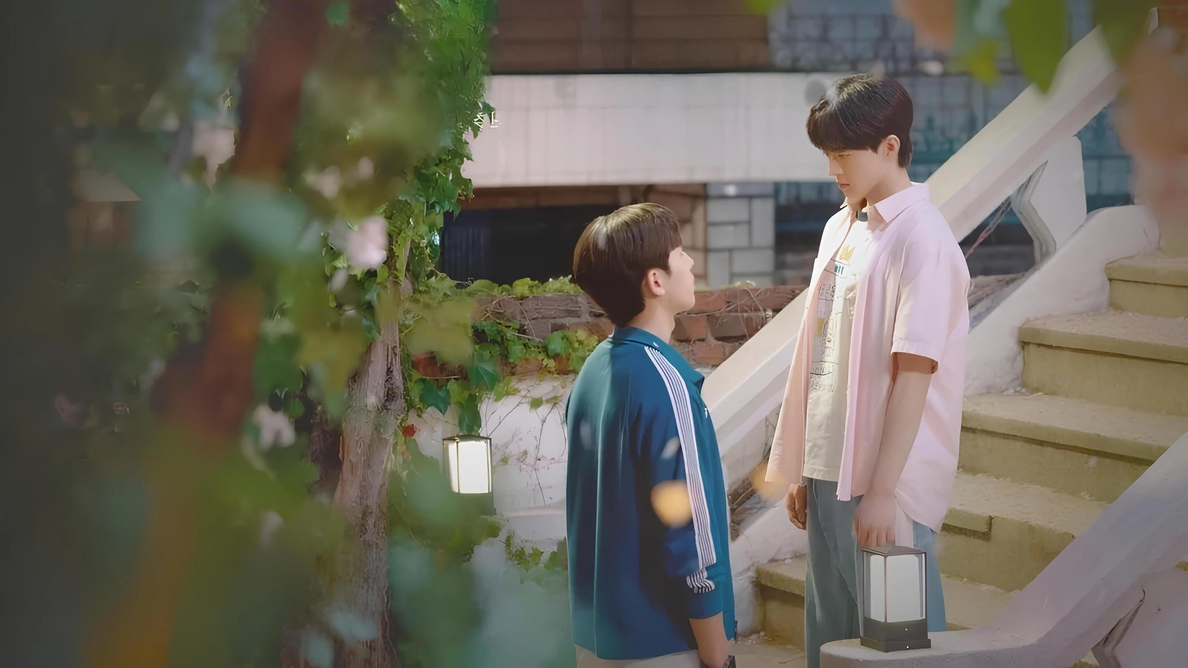 Hoa Đào Nở - Peach Trap